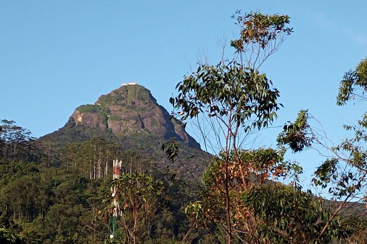 Kandy to Madu River Safari and Galle Fort Visit Day Tour - Photo 1 of 7